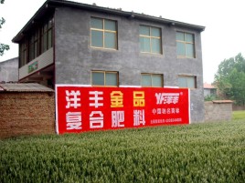 米脂如何让墙体广告展现最大化效果