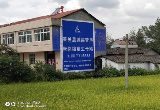 米脂决定墙体广告价格的因素有哪些?