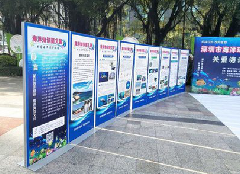 米脂KT板的种类和知识。